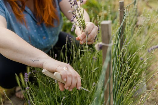 a gardener using ergonomic tools in her colorful garden