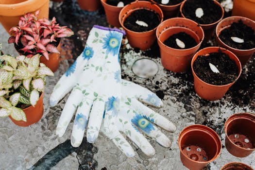 tools for gardening