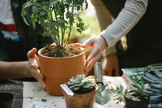 eco-friendly gardening tools