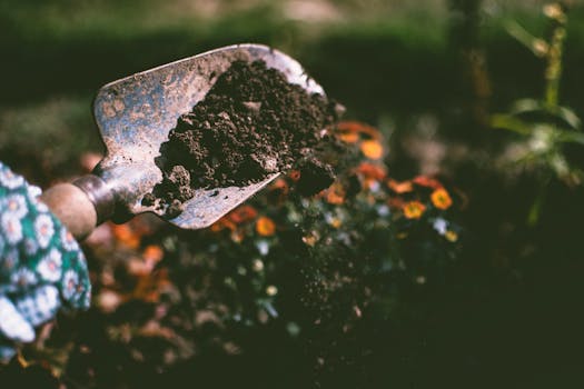 hands planting in soil