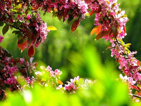 a peaceful garden with blooming flowers