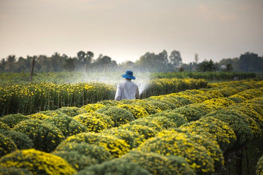 a person watering plants in a garden