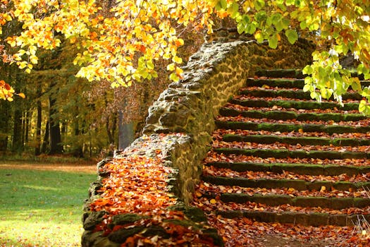 tranquil garden with stone pathways