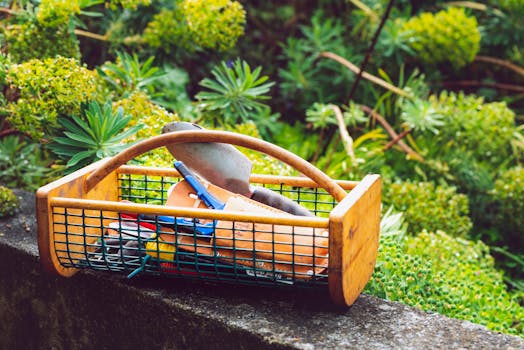 garden tools and plants