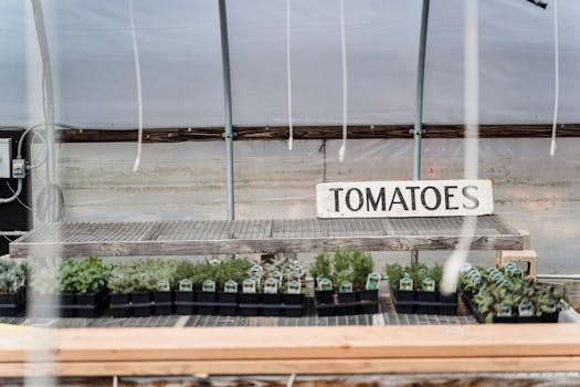 fresh vegetables from a container garden