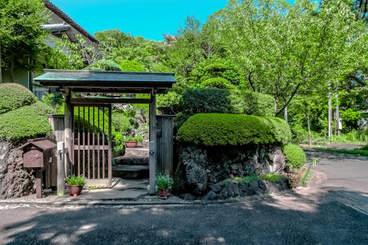 peaceful garden space with lush greenery