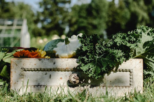 freshly harvested vegetables