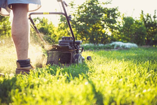 person gardening in a sunny backyard