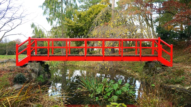 peaceful garden with water feature