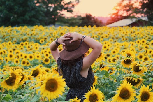 colorful garden with sunflowers and marigolds