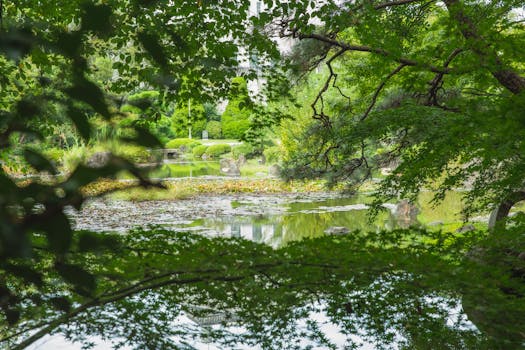 peaceful garden watering scene