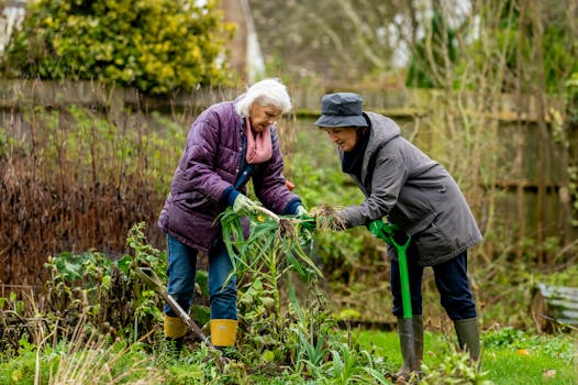 community garden with people working together