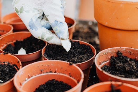 a person planting seeds in a garden