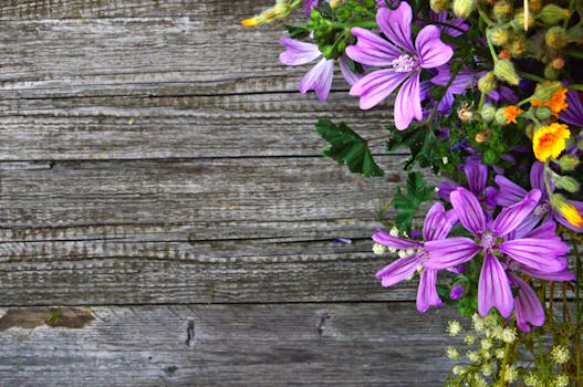 lush garden with blooming flowers