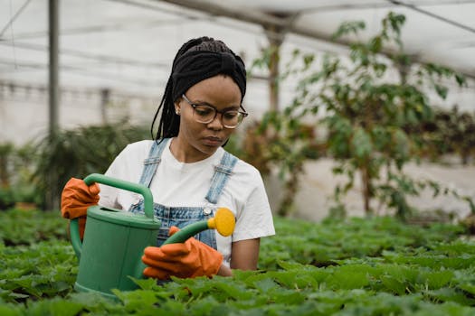 person watering plants indoors