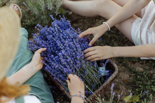 a beginner’s garden with herbs and flowers