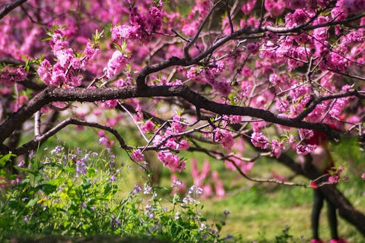 lush green garden with blooming flowers