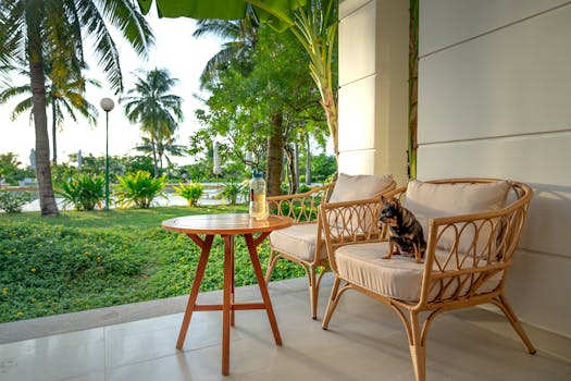 peaceful garden with a comfortable chair