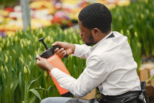 gardener tending to plants