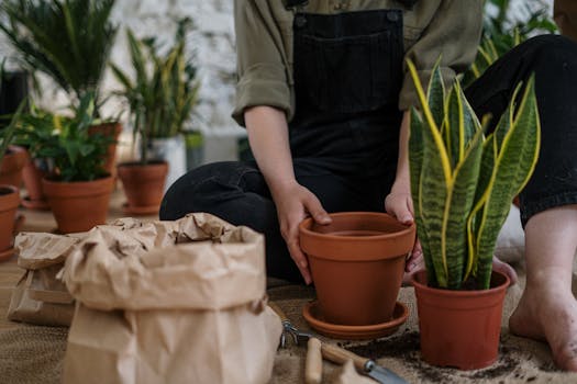 garden tools and potted plants