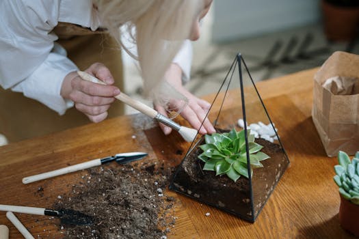 succulent terrarium