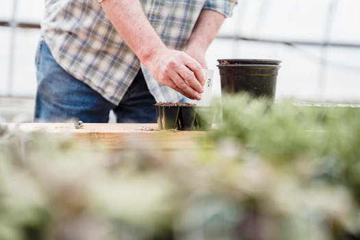 hands planting seeds