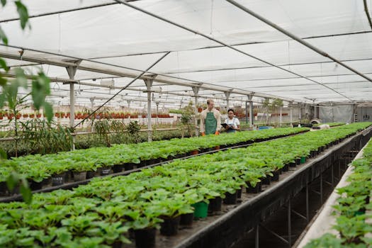 people gardening together