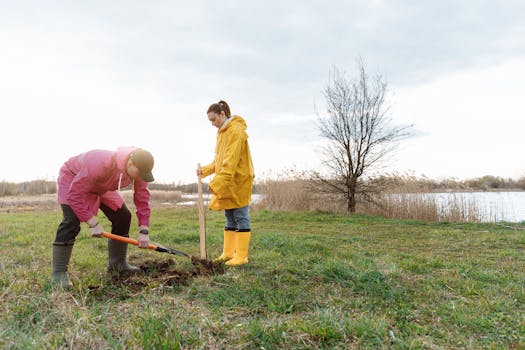 person digging in the garden