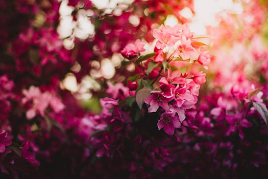 beautiful garden filled with colorful flowers