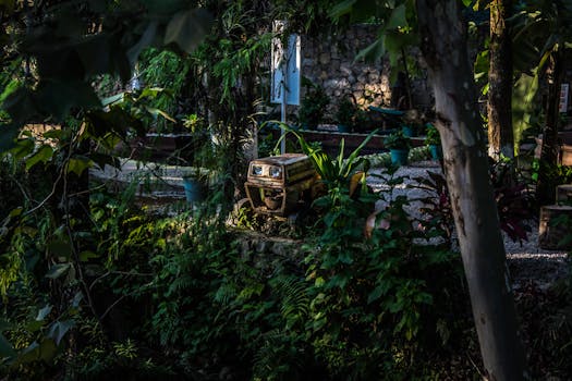 peaceful garden scene