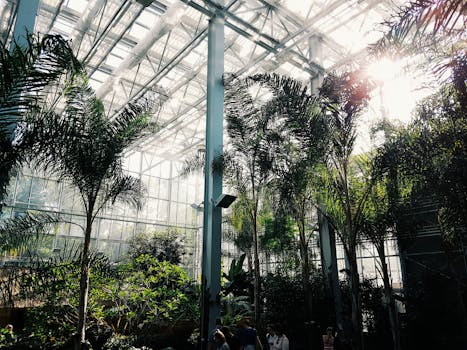 indoor oasis with plants