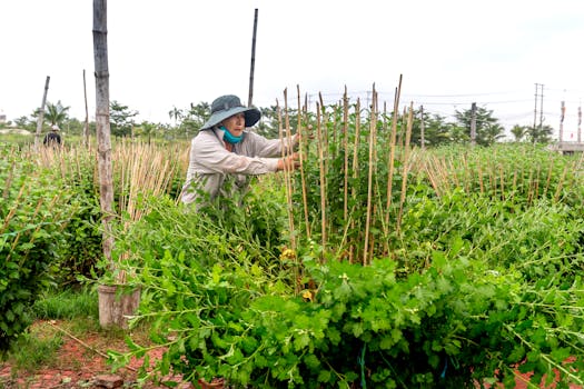 senior woman with gardening tools