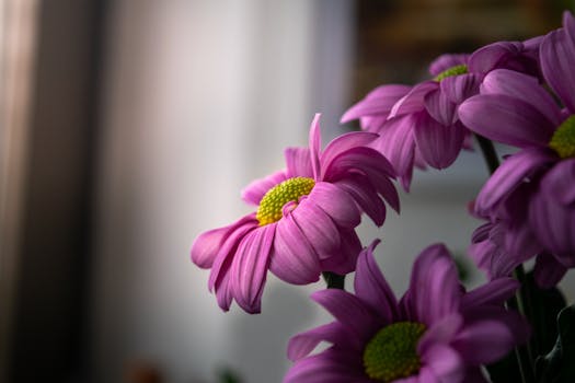 beautiful garden with vibrant flowers