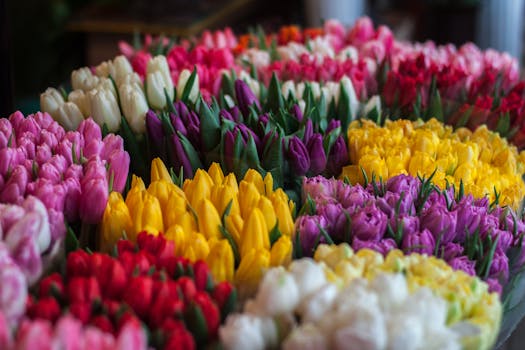 lush garden with vibrant flowers