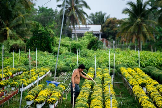 a gardener tending to plants