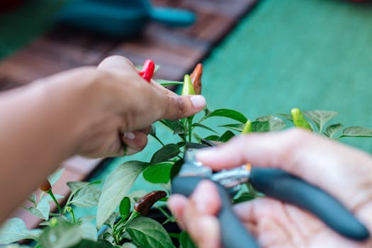 garden tools and fresh herbs