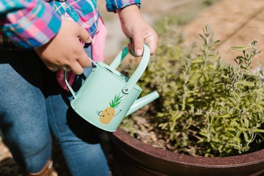 person watering plants in a sunny backyard