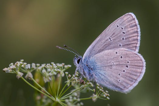 celebrating small garden successes