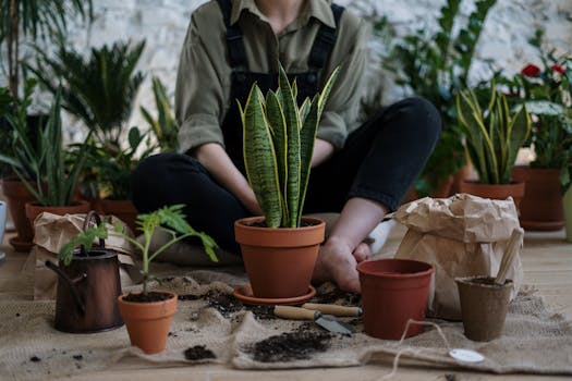 growing plants in a garden