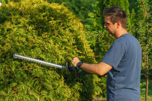 tools for pruning shrubs