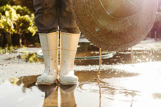 basic gardening tools