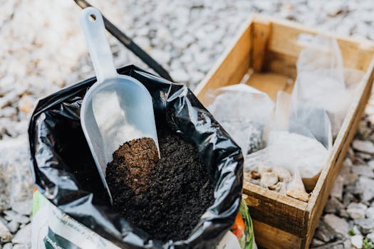 gardener planting seeds