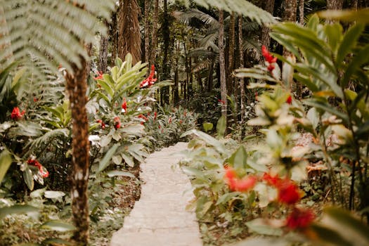 a peaceful garden with diverse plants