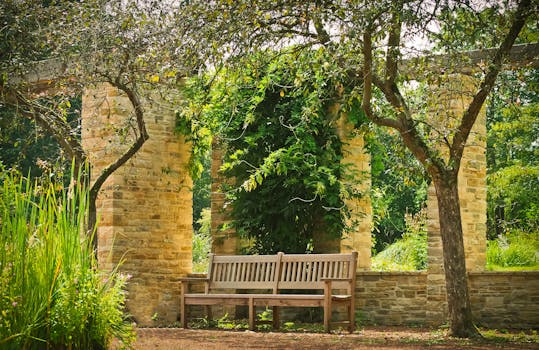 peaceful garden with a bench