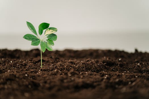 a close-up of a gardener feeling soil