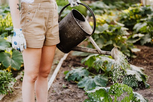 nurturing plants with natural fertilizers