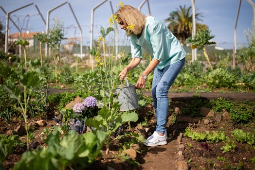 person watering plants