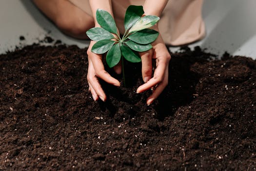 gardening with hands in soil