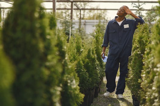 a person watering plants in a sunny garden