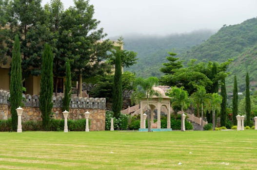 lush green garden